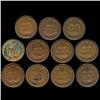 Image 2 : 1891 Indian Cent Lot of 11 Hi Grade (COI-7505)