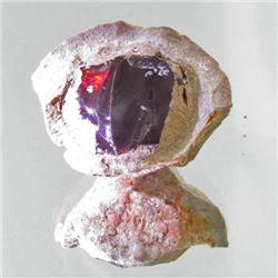 47.7ct Ethiopian Showa Opal Rough  (GEM-27983)