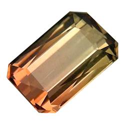 1.96ct Natural Watermelon Bi Color Tourmaline  (GEM-28414)