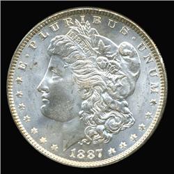 1887 Morgan Dollar Choice Unc Blazer (COI-5032)