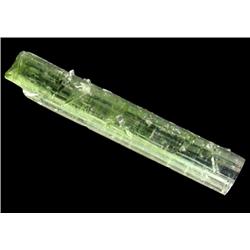 1.96ct Fabulous Green Tourmaline Crystal Brazil (GEM-23964B)