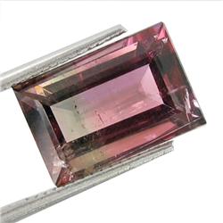 6.30ct Multi Color Tourmaline Africa (GEM-27261)