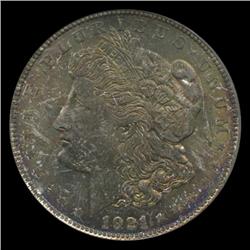 18921 Morgan Dollar Graded MS67 Beautifully Toned (COI-5008)