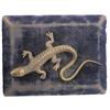 Image 1 : Bronze Lizard