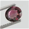 Image 1 : 1.00ct Natural Oval Pinkish Red Tourmaline (GEM-28397)