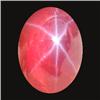 4.6ct Orange Star 6 Ray Diffusion Sapphire Cab (GEM-18435)
