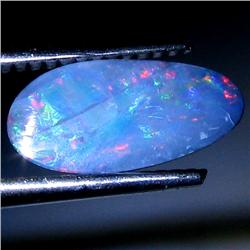 1.29ct Australian Black Opal Doublet Full Fire (GEM-30060)