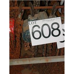 CHAIN FALL HOIST 2 TON