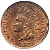 Image 1 : 1875 Indian Head 1C