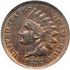 Image 1 : 1876 Indian Head 1C