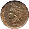 Image 1 : 1877 Indian Head 1C