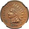 Image 1 : 1877 Indian Head 1C