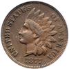 Image 1 : 1877 Indian Head 1C