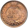 Image 2 : 1885 Indian Head 1C