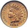 Image 1 : 1891 Indian Head 1C