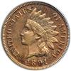 Image 1 : 1891 Indian Head 1C