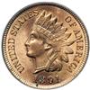 Image 1 : 1891 Indian Head 1C