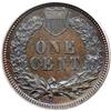 Image 2 : 1893 Indian Head 1C