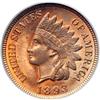 Image 1 : 1893 Indian Head 1C