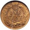 Image 2 : 1909 Indian Head 1C NGC MS66