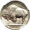 Image 2 : 1913 Buffalo 5C. Type 2 NGC Proof 67