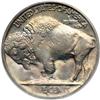 Image 2 : 1916-D Buffalo 5C