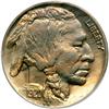 Image 1 : 1920-D Buffalo 5C