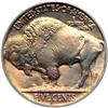 Image 2 : 1920-D Buffalo 5C