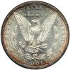 Image 2 : 1884-S Morgan $1 NGC MS61