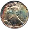 Image 1 : 1988 $1 Eagle