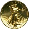 Image 1 : 2009 Ultra High Relief Double Eagle