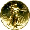 Image 1 : 2009 Ultra High Relief Double Eagle