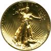 Image 1 : 2009 Ultra High Relief Double Eagle