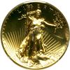 Image 1 : 2009 Ultra High Relief Double Eagle