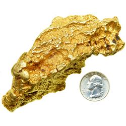 CALIFORNIA Monumental Placer Gold Nugget 34.705 ozt. (983.6 gr.)