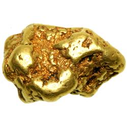 CALIFORNIA Placer Gold Nugget 0.480 ozt. (15. 0 gr.)
