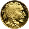 Image 1 : 2007-W $50 Gold Buffalo .9999 Fine