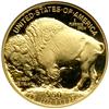 Image 2 : 2007-W $50 Gold Buffalo .9999 Fine