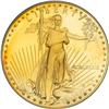 Image 1 : 1989-W $50 Eagle