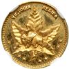 Image 1 : Canada & Provinces - Manitoba. Gold 1/2 Dollar Token, 1898. NGC MS65