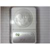 Image 2 : 2005 AMERICAN SILVER EAGLE NGC MS69