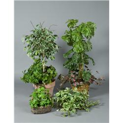 Grouping of Faux Trees and Plants