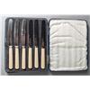 Image 1 : Boxed Set of Ivory Fruit Knives