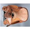 Image 2 : Fine Adult Western Saddle