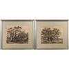 Image 1 : Pr. Of Jacob George Strutt Color Etchings