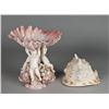 Image 1 : Porcelain Child Centerpiece with Seashell