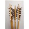 Image 2 : Native American Painted Leather Quiver