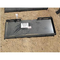 (UNUSED) 2010 MOUNT PLATE