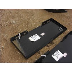 (UNUSED) 2010 MOUNT PLATE