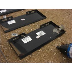 (UNUSED) 2010 MOUNT PLATE